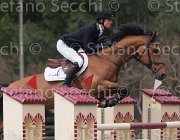 Schuttert Salinger Veldhoek TosTour 2013- S4 6658 : Arezzo Equestrian Centre, Salinger Veldhoek, Schuttert Hendrik, Toscana Tour 2013, foto di Stefano Secchi ©